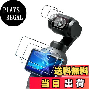 �y���������z�ywnunbg �z �Ή� �K���X�t�B���� 2�� + �����Y�t�B���� 2�� �t�B���� �����K���X �t�� �ی�t�B���� �P�[�X �J�o�[ �F�F�N���A�A�T�C�Y�F�Ή� DJI OSMO Pocket 4