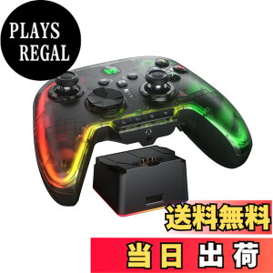 �y���������zBIGBIG WON Rainbow 2 SE ���C�����X �R���g���[���[ ���[�V���� �R���g���[���A�z�[�����ʃg���K�[�A12 �r�b�g ADC�A�W���C�X�e�B�b�N 3 �Z�b�g�A4�����\���L�[�A8�����\���L PC APP�A�R