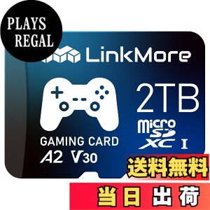 �y���������zLinkMore A1V30 / A2V30 / XV23 Pro MicroSDXC�J�[�h �T�C�Y�F2TB
