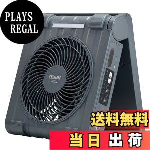�y���������z�A�s�b�N�X(APIX INTL) ENEMATE ��@ �F�F�R�X���O���[
