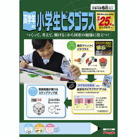 高学年の小学生ピタゴラス ドリル付 ピープル 知育おもちゃ【送料無料 沖縄・一部地域を除く】