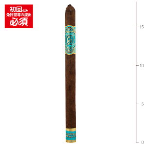 �y�v���~�A���V�K�[�z�i�o������j�@JG�E�z�Z�w�l�[���@�����Z���m38RG�^178mm�n�m�����Y�f�[���n�n�m�����F�n