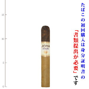 �y�v���~�A���V�K�[�z�y�ێ��p�b�N�z�y5�{����z�@�z���f�j�J���O�A�@�L���r�l�b�^�@�R���i�S���_�m46RG�^133mm�n�m�R���i�T�C�Y�n�n�m�����F�������Z�Z�n