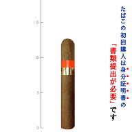 【プレミアムシガー】（バラ売り）トキ　ロブスト[50RG／127mm]〔ロブスト系〕(強さ：●●〇〇〇)※アイ…