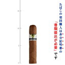 【プレミアムシガー】（バラ売り）　ベグエロス　エントレティエンポス［52RG／110mm］［ショートロブスト系］［強さ…