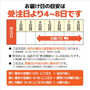 G݁^ObY@{E5ri180mljp̃NA[J[g@A^Cv@1{pi20Zbgj