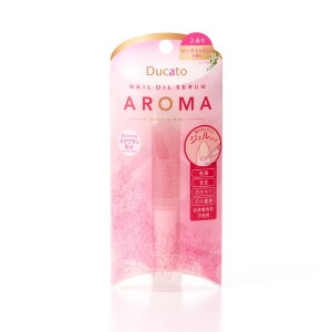 Ducato fJ[g lCICZ A} s[`WX~