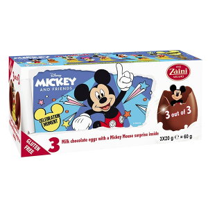 Zaini UC[j `RGbO ~bL[tY