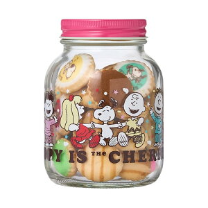 Xk[s[ PEANUTS rXPbg{g 2025