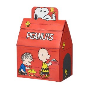 Xk[s[ PEANUTS nEXXC[c {bNX