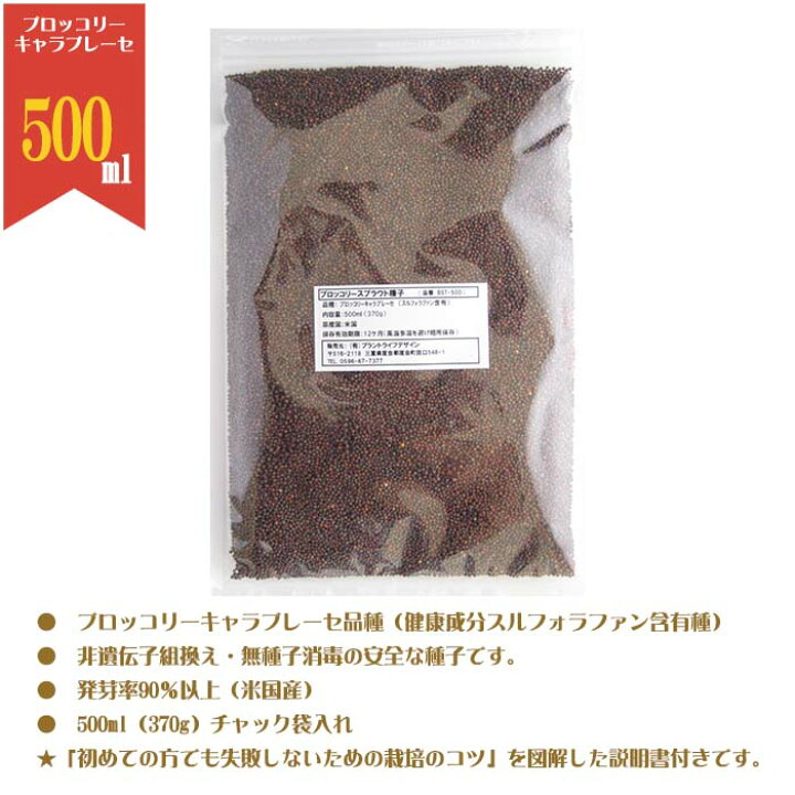 楽天市場】【 栽培キット プレゼント中 】 ブロッコリースプラウト 