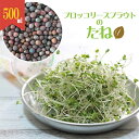 ブロッコリースプラウト 種 500ml 大容量 スプラウト栽培用 種子 室内栽培 家庭菜園 水耕栽培 発芽簡単 高発芽率 スル…