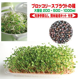 【栽培キット プレゼント中】 ブロッコリースプラウト 栽培 種 種子 サプリ 送料無料 定期購入 スーパーフード アンチエイジング 失敗しない 栽培方法 説明書付き 非遺伝子組換え 無種子消毒 スルフォラファン 含有品種