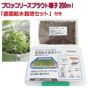 ブロッコリースプラウト 種子 200ml 水耕栽培キット 付属（底面給水方式）1年中 室内栽培 無種子消毒 非遺伝子組換え …