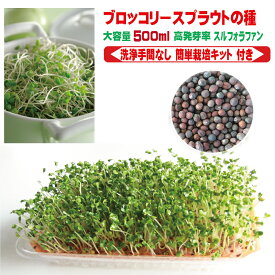 【 栽培キット プレゼント中 】 ブロッコリースプラウト 種子 500ml 栽培 種 サプリ 送料無料 スーパーフード アンチエイジング ポイント 消化 失敗しない 栽培方法 説明書付き 非遺伝子組換え 無種子消毒 スルフォラファン