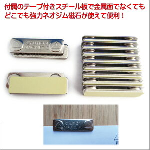 ̓lIWΔЖʔSe[vtX`[Zbgy 10Zbg zy^MSP10z