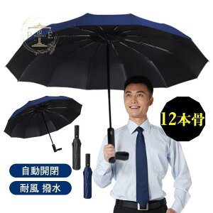 y12{zP ܂肽ݎP ^b` J rWlX JP ϕ  傫 Y fB[X Jp P j SՌ 