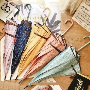 yԌA|Cg10{IzfB[X P   ou[ JP WvP  JT ܂ɂ ؐnh`[t