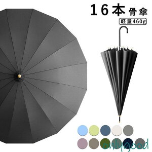 yԌA|Cg10{IzP P 16{ 105cm fB[XP 傫 ϕ  x ܂ɂ v J n rWlX aP ~J΍ J΍