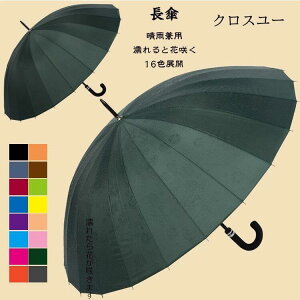P fB[X Y  GƉԍ炭 P JP Jp UVJbg ~J΍ aP ϕ 24{  ̓