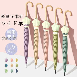 yԌA|Cg10{IzP JP fB[X P  16{ 傫   ՔM Ռ Ԍ  y ܂ɂ |nh