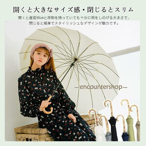 yԌA|Cg10{IzP 16{ P JP SՌ Jp fB[X Y jp  ϕ  Wv y ~J  i v[g