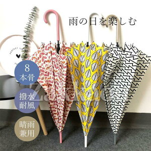 yԌA|Cg10{IzJP ԕ P fB[X P  Z w ꂢ ؍ ʋ ʊw ꂢ G  ~J v[g p y y