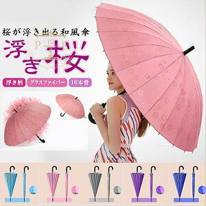 yԌA|Cg10{IzP fB[X P 傫 24{  JōoP ~J΍ ϕ   H Jp