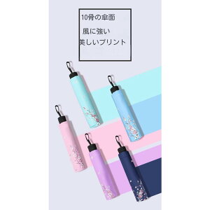 P Jp ܂ݎP fB[X q Y P JP IV 킢 P Jp UVJbg10{@ ܂肽ݎP  Ռ ՔM