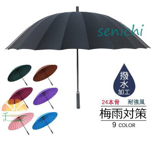 yԌA|Cg10{IzP P Y JP 傫 ϕ  v 24{ JT J n 115cm rWlX aP am ~J΍ 12F ̓ rWlX