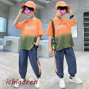 yԌ10OFFzq ZbgAbv LbY j̎q  ㉺Zbg TVc n[tpc Y{ qW[W WjA X|[cEFA   JWA Vi