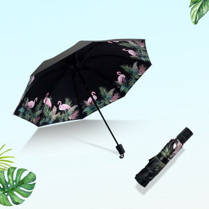 ܂肽ݎP J y 킢 fB[X ܂ݎP ԕ v 傫  lp qp ɋ ϕ  Jp