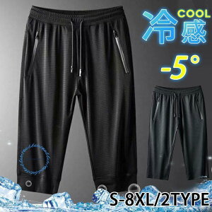 V[gpc Y bV  n[tpc z W[W n 傫TCY  Zp  X|[cEFA