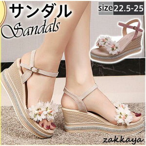 T_ fB[X V[Y EFbW\[ q[  Vv ₷  r   傫TCY t Ղ