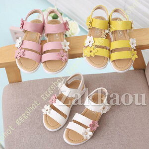 T_ ̎q r[`T_ LbYV[Y ԎO  hXV[Y tH[}V[Y JWAT_ t[ IV _炩 ~