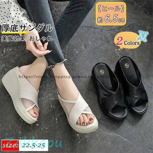 T_ EGbW\[ fB[X  ~[ {v 6.5cm bV Xbp q[   C r r RtH[g 