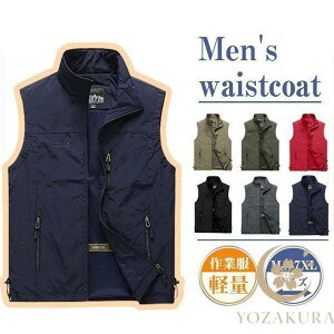 xXg Y t  bV  ނxXg jp ƒ _ d fB[X AEghA ʋ oR OJ @~^[ H