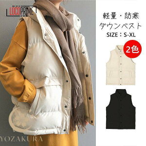 _ExXg Y fB[X ~ xXg t[hȂ h h _ExXg Pi jp g xXg ނ AEghA ƒ IV y