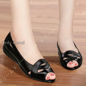 pvX ₷ ɂȂ fB[X OL I[vgD  tbg 傫TCY C U[  V[Y LC l [q[ ؂