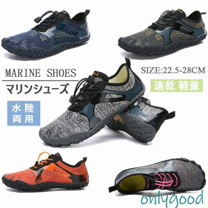 }V[Y EH[^[V[Y p  Vm[PO ANAV[Y xAtbg tBbglXV[Y r[`T_ y jp