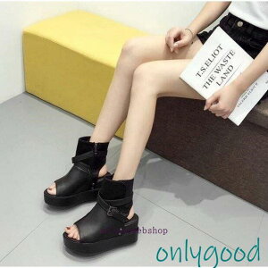 rT_T}[u[c u[cT_ nCq[ sq[ fB[X I[vgD u[c fB[XC 傫TCY@r@fB[XC