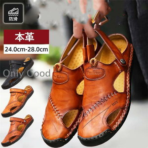 T_ Y r[`T_ {v X|[cT_ RtH[g V[Y ₷  JWA amp  傫TCY