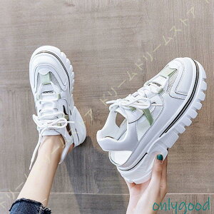 T_ fB[X Xj[J[T_ T_Xj[J[ Xj[J[  ؍ r X|[cT_ ʋC gAbv nCq[ EFbWT_