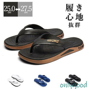 r[`T_ T_ Y ₷ Ȃ  ɂȂ 傫TCY jp y