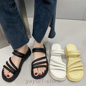 yԌ10OFFzT_ fB[X ₷   Vv   T_ y ăT_ ؍  ₷  C V[Y