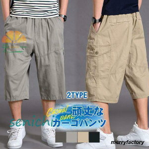 yԌ10OFFzn[tpc J[Spc Y  [Npc Y{  AJW ~^[ ̓ ʋC  n JbRCC  ނ