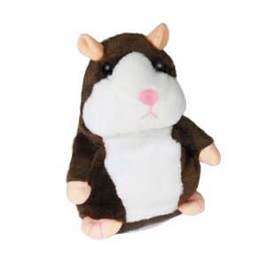 HAC nbN ܂˂܂ n HAC3349 uE O[