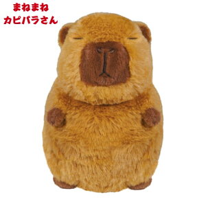 HAC nbN ܂˂܂ Jso HAC5004