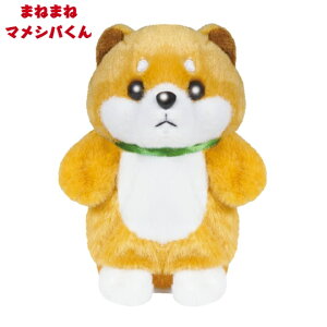 HAC nbN ܂˂܂ }Vo HAC4797