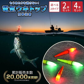 【1位受賞】電気ウキ トップ 夜釣り 電池付き LED ライト 夜光ウキ 電気 ウキトップ 釣りフロート led 海釣り 磯釣り 堤防 波止 赤 黄色 蛍光 発光 竿先 光る アタリ確認 視認性 高輝度 電池付き CR425 電池式 簡単取付 釣具トップライト セット 夜釣り 電気浮き
